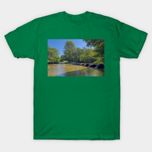 Tarr Steps Devon T-Shirt